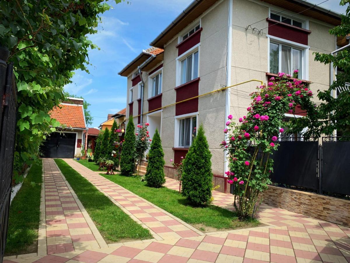 Casa Mary Hotel Hateg Exterior photo
