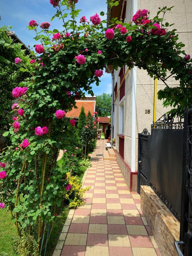 Casa Mary Hotel Hateg Exterior photo
